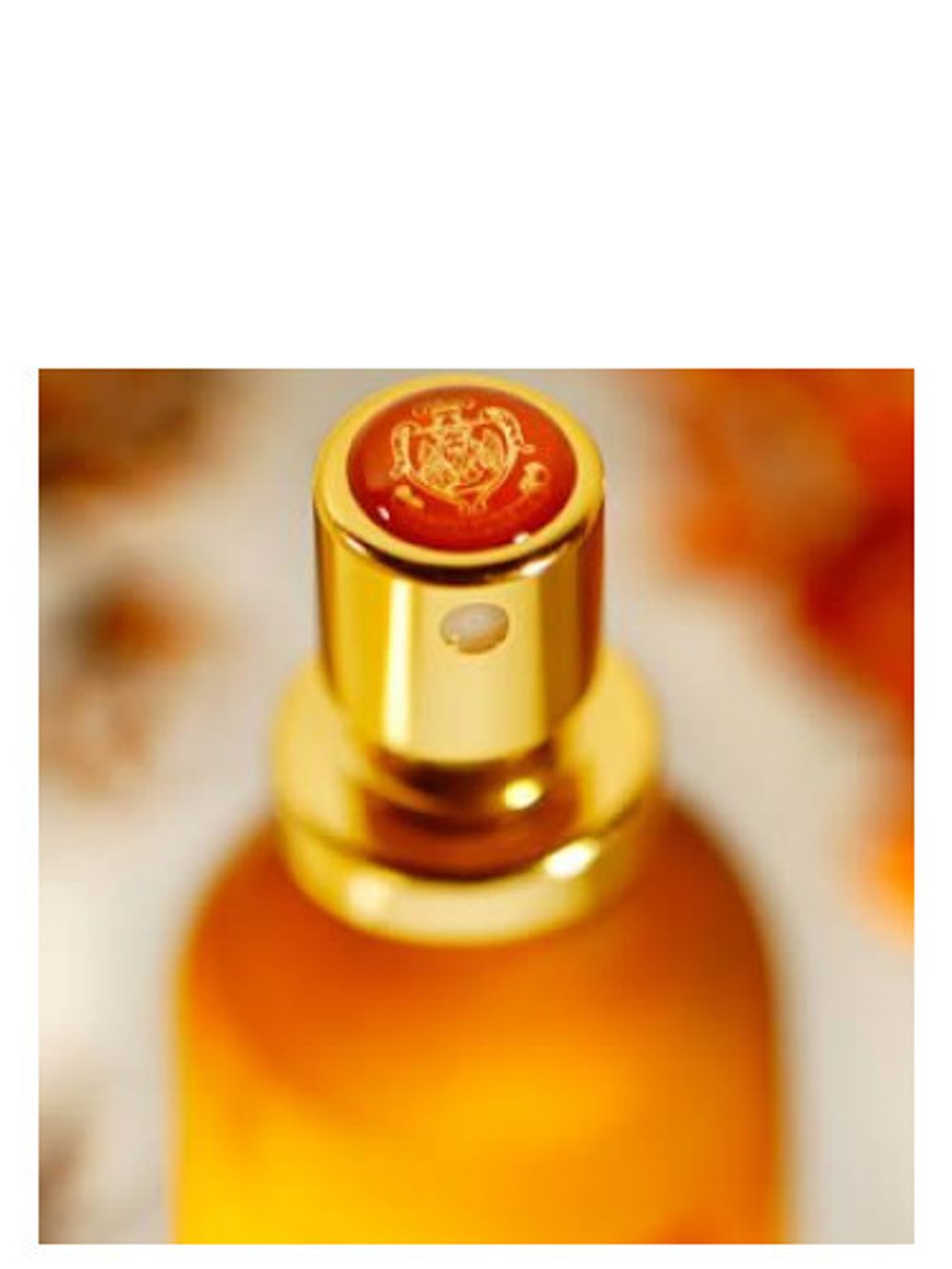 Florian Aqua Moresca