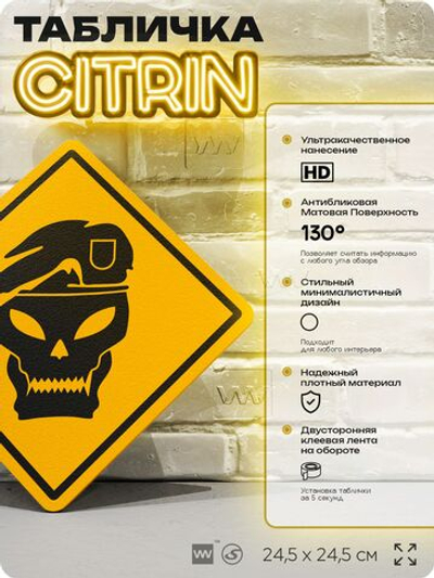 Табличка декоративная "Call of Duty: Black Ops" на дверь и стену, прикольная штука в подарок геймеру, декоративный знак, 24,5х24,5 см, Айдентика Технолоджи