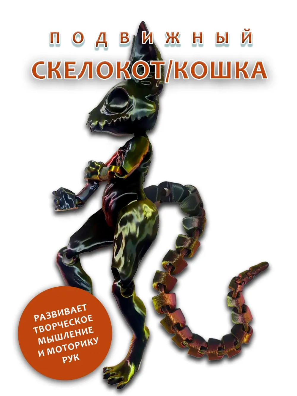 Скелет Кошки