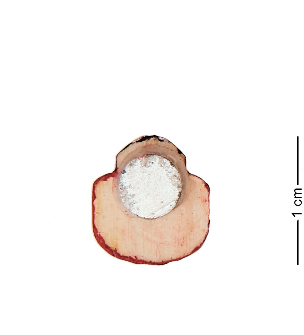 БК-01 Магнит «Божья коровка» 10мм