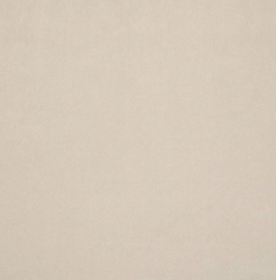 Микровелюр Бэст 10