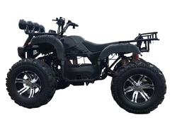 Электроквадроцикл EcoDrive 1500W 60V 20A