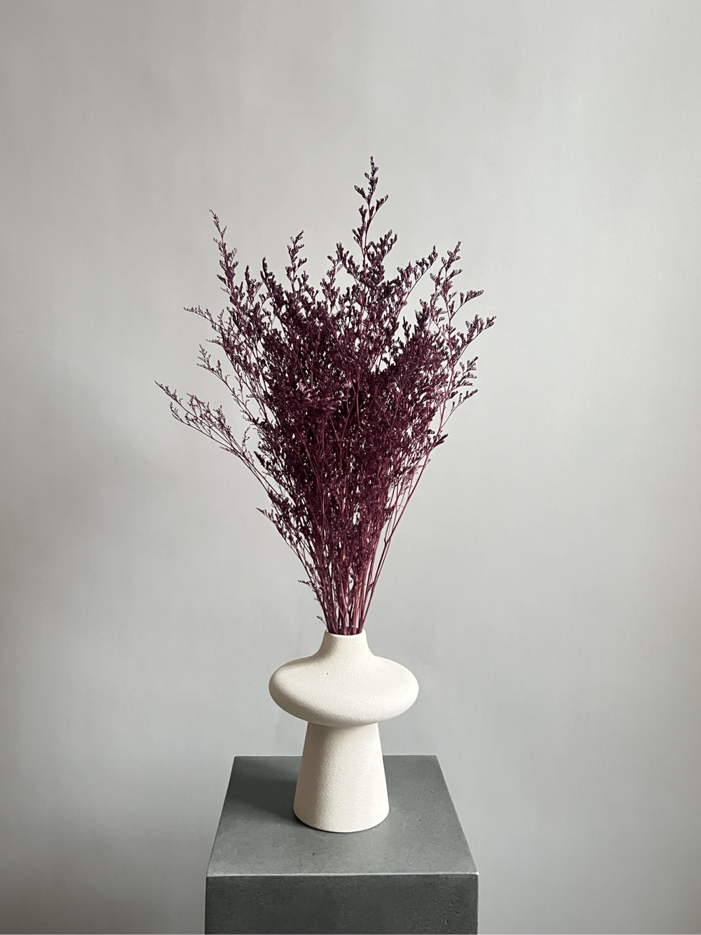 Кермек винный