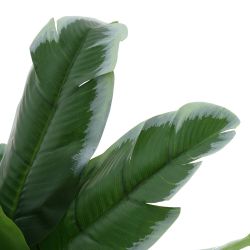 GAEM Цветочная композиция "Фикус", L28 W28 H72 см