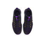 Мужские кроссовки Nike LeBron Witness 5 EP 'Lakers' CQ9381‑001