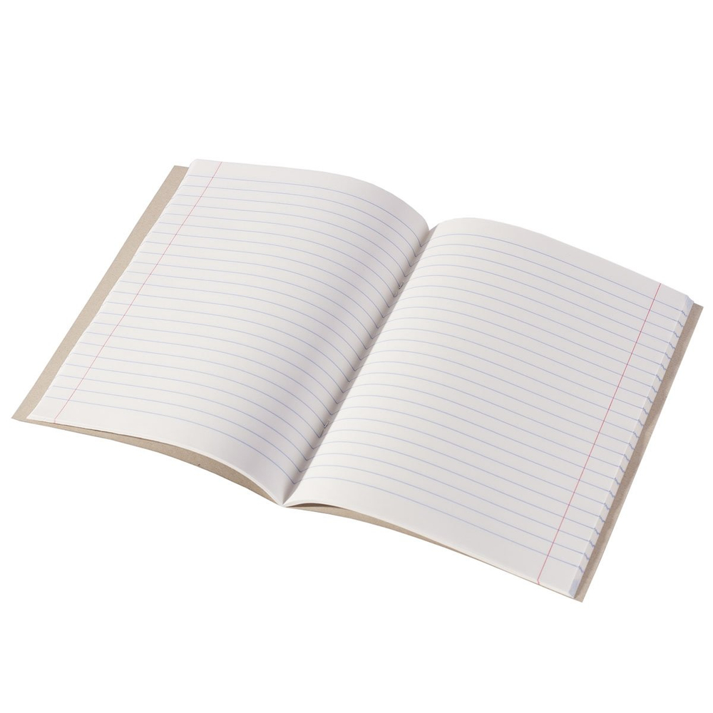 Тетрадь предметная 36л. А5 "Литература " со справочным материалом, скрепка, мелованный картон (стандарт), блок офсет, Alingar "К доске!"