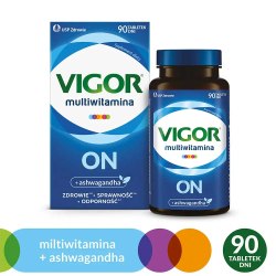 Vigor Multivitamin ON - 90 таблеток