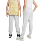 Баскетбольные детские штаны Nike Dri-FIT Standard Issue Pants Gray
