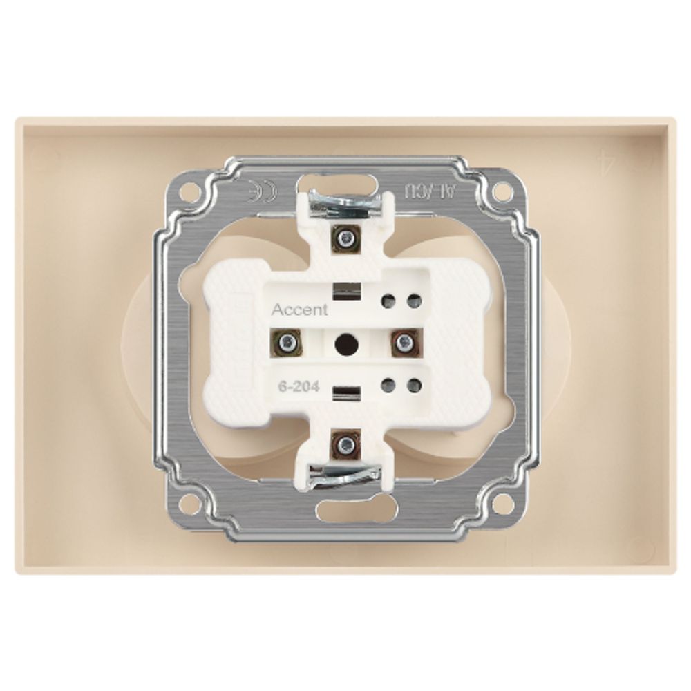Розетка Intro Accent 6-204-02 двойная 2х2P 16А-250В IP20 СУ AL/CU слоновая кость