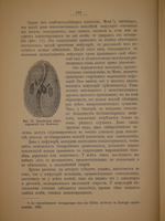 "Этюды о природе человека". И.И.Мечников. 1904г.