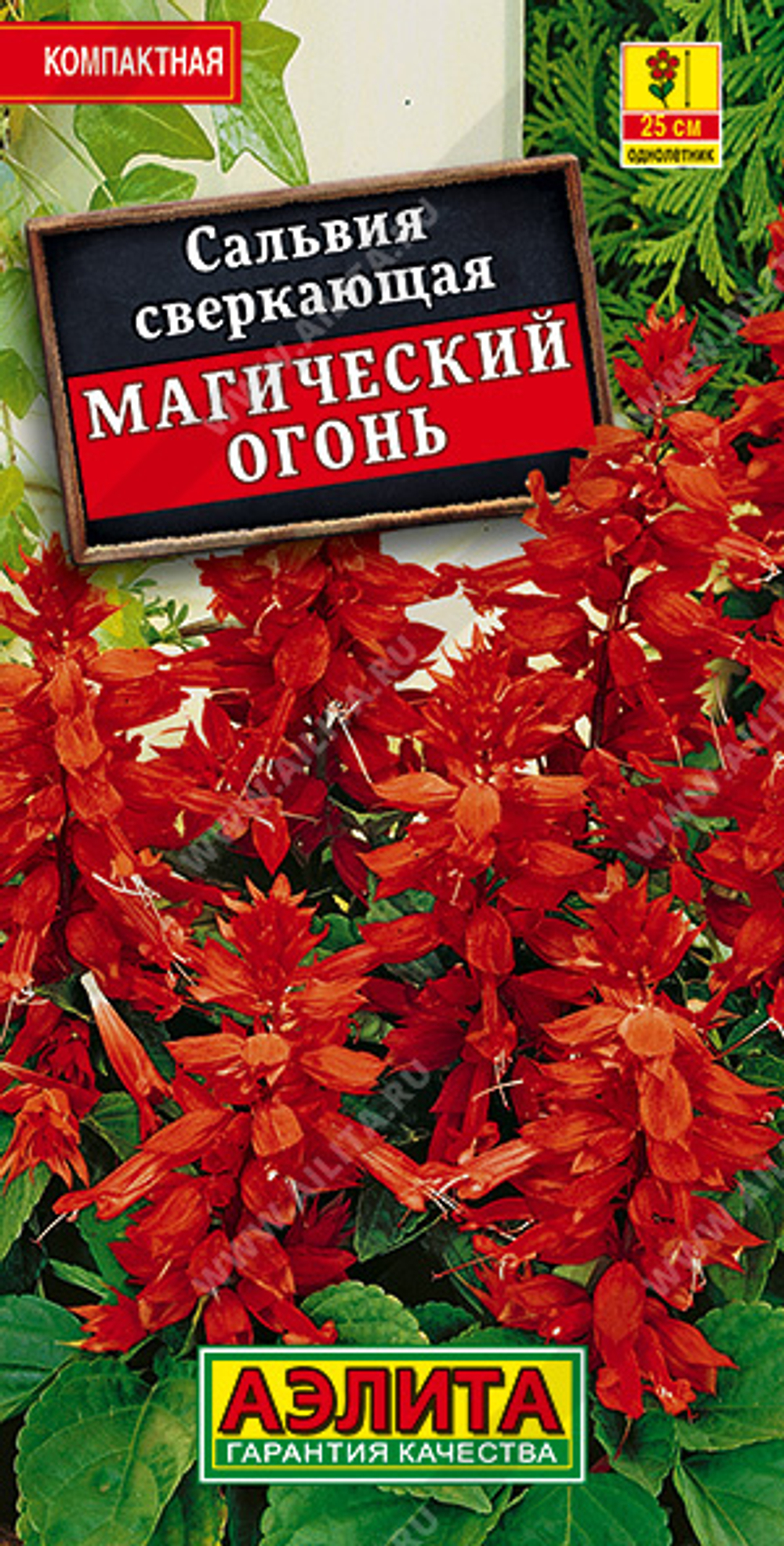 Сальвия Магический огонь 0,1гр Аэлита