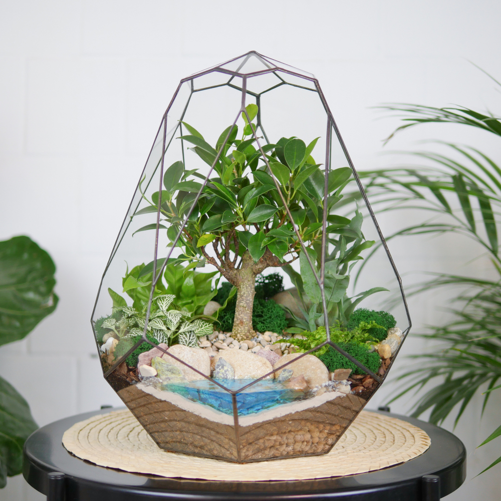 Готовый флорариум бонсай Фикус Капелла с озером