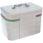 Шкатулка для украшений «ЛАНТАТИКА», цвет серебро, 15*23*17см