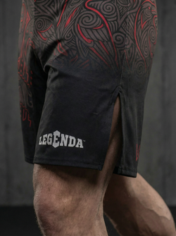 Шорты спортивные тренировочные черные LEGENDA Вальхалла