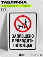Табличка "Запрещено приводить питомцев" на дверь и забор, для двора, дома, подъезда, 40х30 см, Silver Plane x Айдентика Технолоджи
