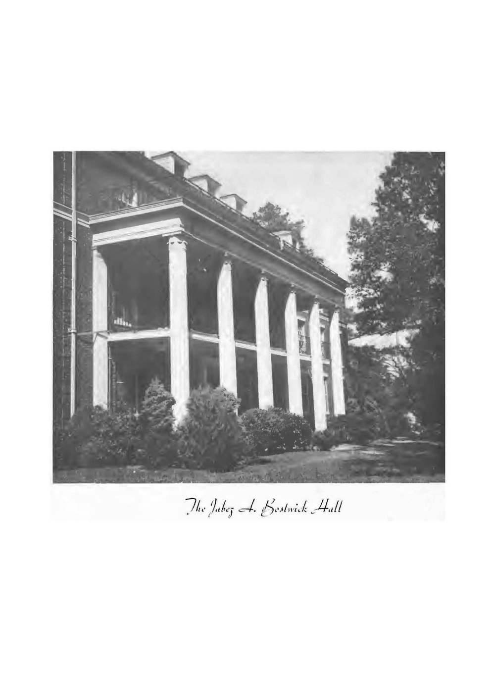 The Howler | Wake Forest College