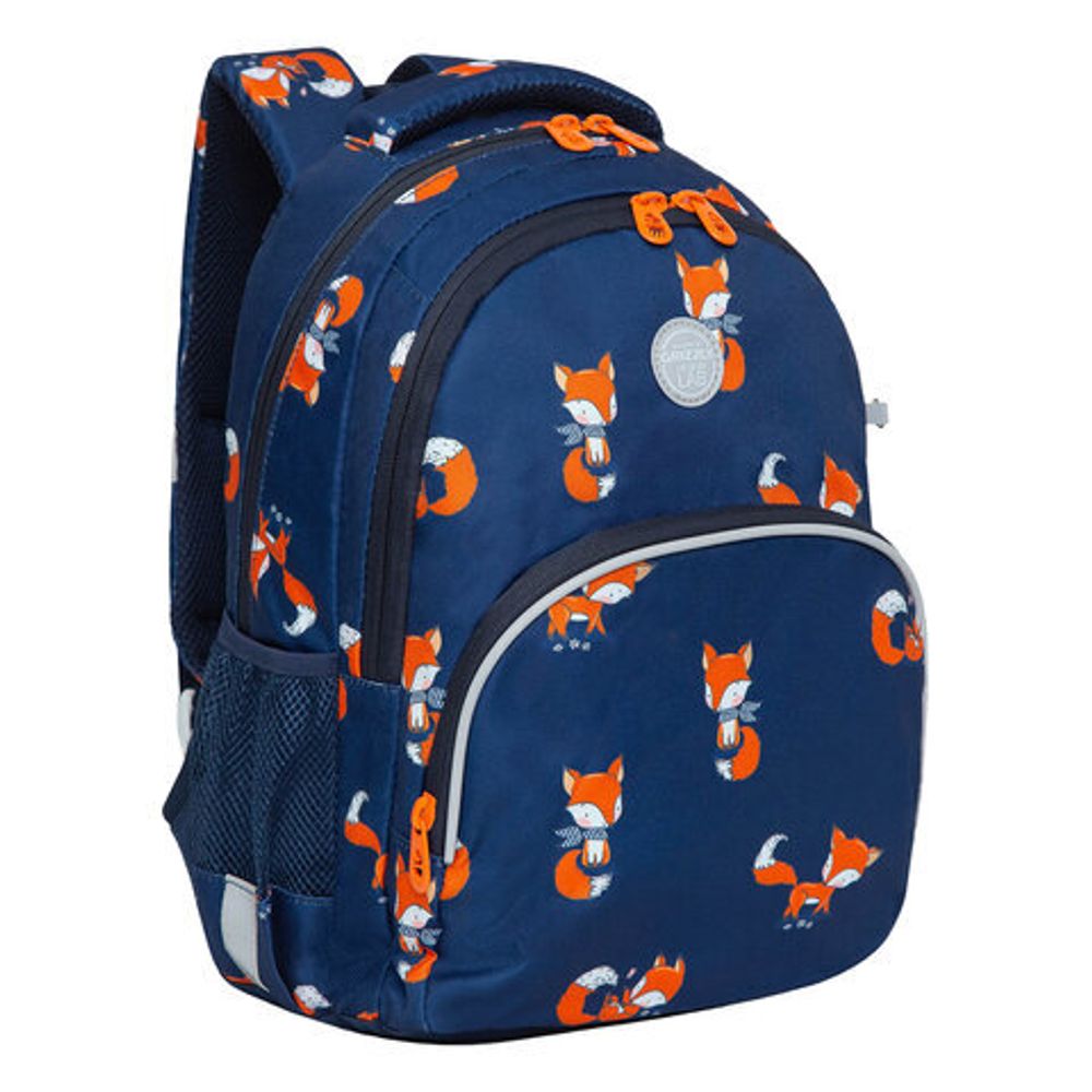 Рюкзак GRIZZLY школьный, анатомическая спинка, с пеналом в комплекте, для девочек, "FOXES", 40х27х20 см, RG-260-6/1