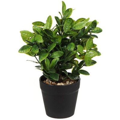 Цветок искусственный декоративный Трава, в горшке, 25х9х9 см, в асс, Y4-3490