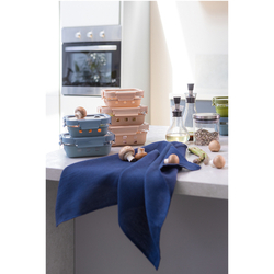 Контейнер Smart Solutions 640мл синий в чехле