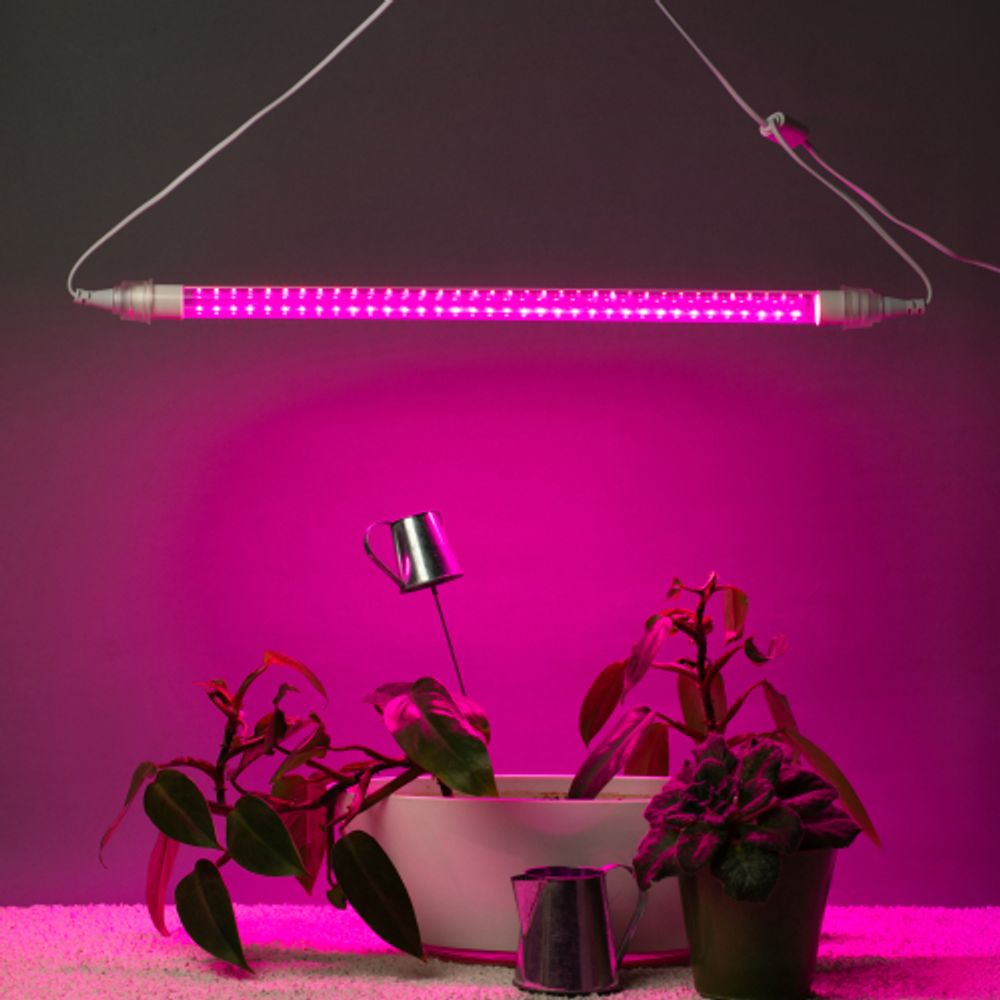 Светильник для растений, фитолампа светодиодная линейная ЭРА FITO-9W-Rb-Т8+FITO-Holder IP65 2хG13 с выключателем, 1.5м