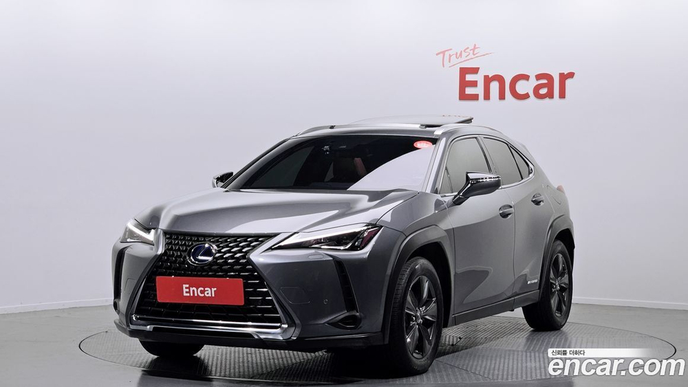 Lexus UX250h 2.0 2WD (08.2019)