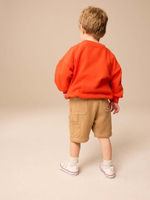 Толстовка и шорты в комплекте для мальчика Next E60-687, Красный, Светло-коричневый