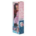 Кукла классическая, коробка FT-14A