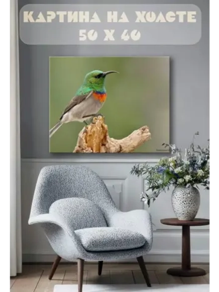 Картина на стену 40 X 50 Цветная птица