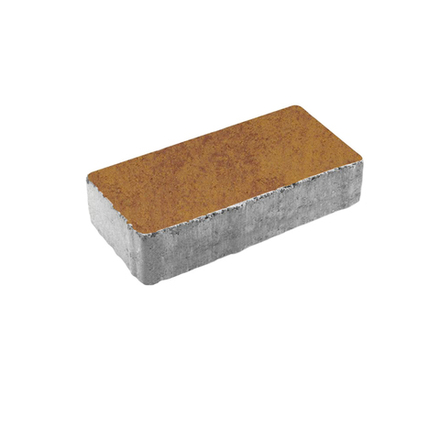 Тротуарная плитка ПРЯМОУГОЛЬНИК 200x100 мм - Листопад гладкий Каир