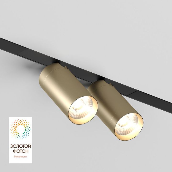 Трековый светодиодный светильник Denkirs Smart Spot DK8012-BG