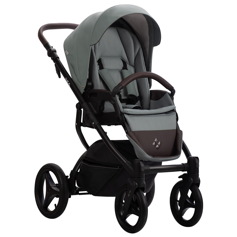 Детская коляска Bebetto Luca Pro 2 в 1 32 шалфей кожа