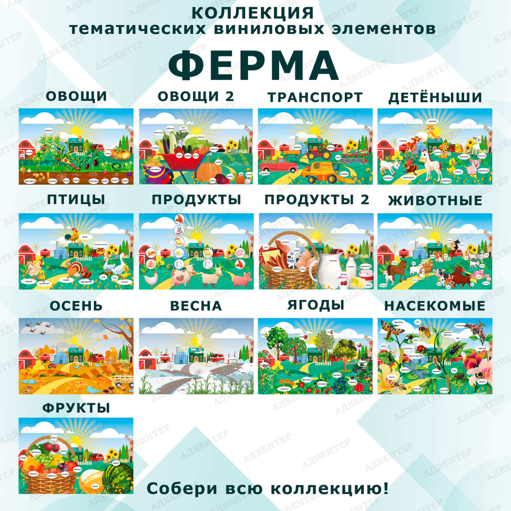 Комплект развивающий Ферма: Птицы 2147