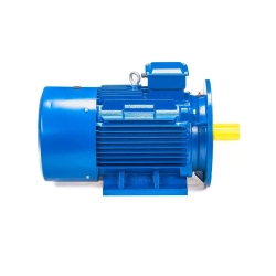 Электродвигатель 5АИ 180 S2 22/3000 IM2001