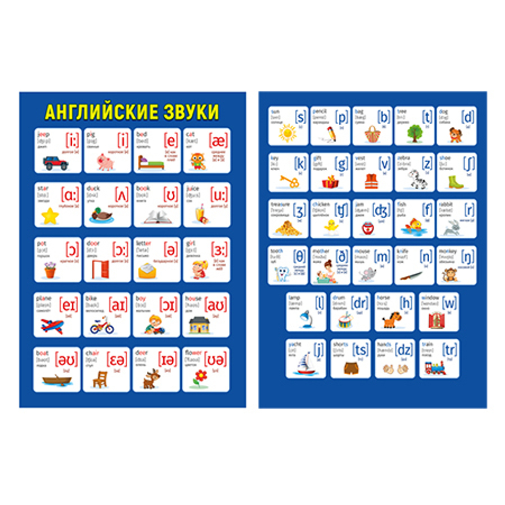 Плакат 071.370 Мини-плакат двусторонний "Английские звуки" И 46032