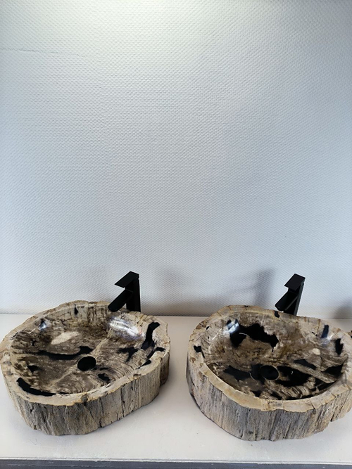 Раковина из окаменелого дерева ПАРА! OD-66224 60x47x15 натурального камня