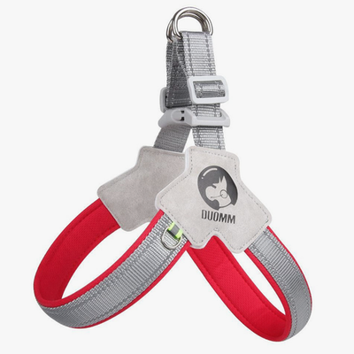 Шлейки amaze размер xl (гр.62-72) rich breed ш-27 красный