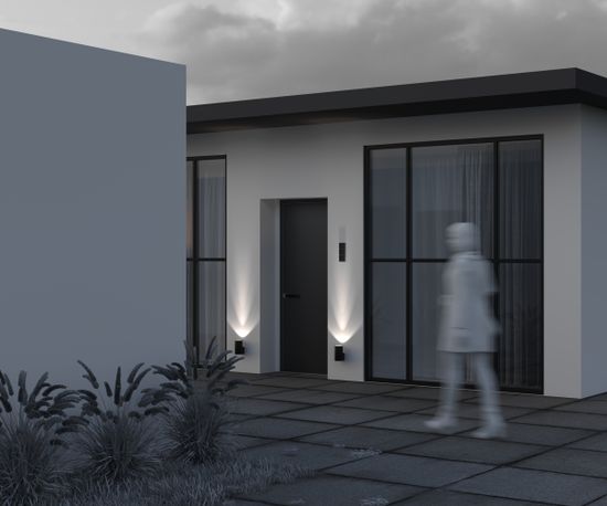 Уличный настенный светильник Outdoor O514WL-L15B3K