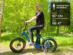 Электрофэтбайк Elbike Taiga 1 Elite (Зеленый)