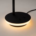 Настольный светильник Maytoni Z010TL-L8B3K