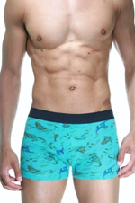 Бирюзовые трусы-боксеры с принтом в виде динозавров (Размер: S) (Цвет: бирюзовый)