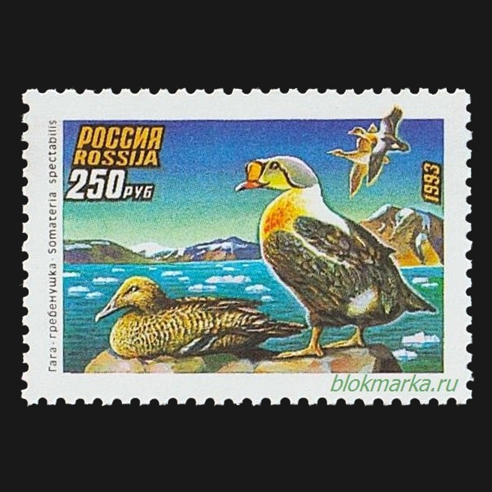 Россия 1993 г № 101-103 Серия Утки Чистая MNH **