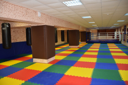 Будо-мат (татами) односторонний (1 плита 100x100x4см, 1кв.м./уп)