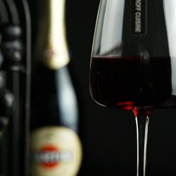 Бокал для вина 335 мл " " d 5,5/7,9 см h24 см P.L. - BarWare [6]