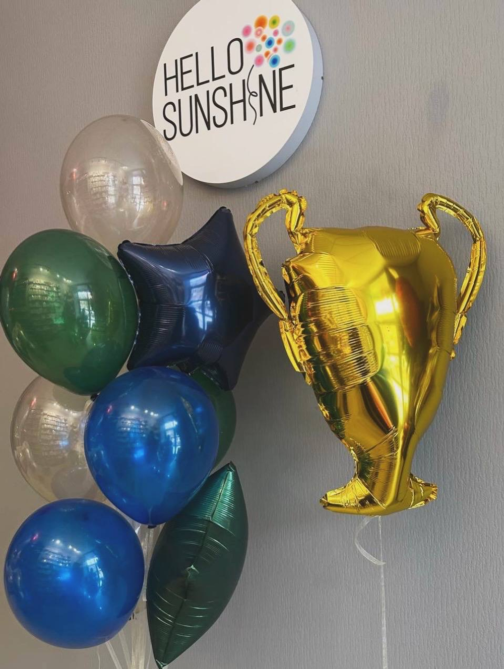 Набор шаров чемпиона СЮ