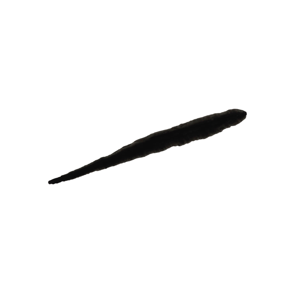 Neutrogena, Precision Liquid Eyeliner, Jet Black 10, 0,38 мл (0,013 жидк. унц.)