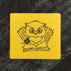 Сова №22 С книжками