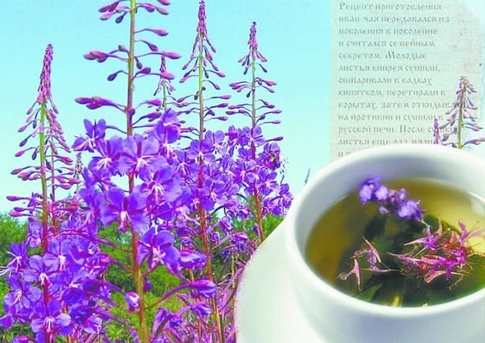 Иван-чай чай 100 гр.