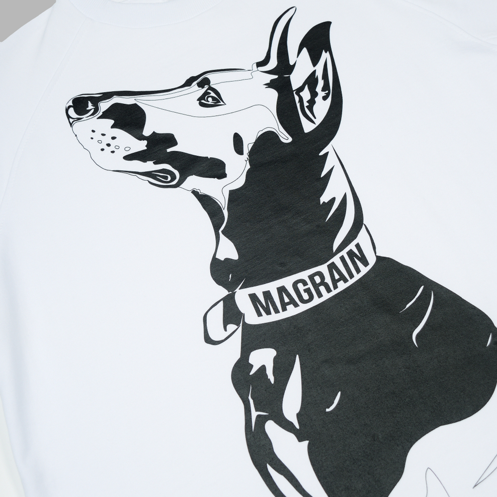 Футболка Реглан DOBERMAN