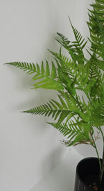 Куст папоротника / Арт 5014