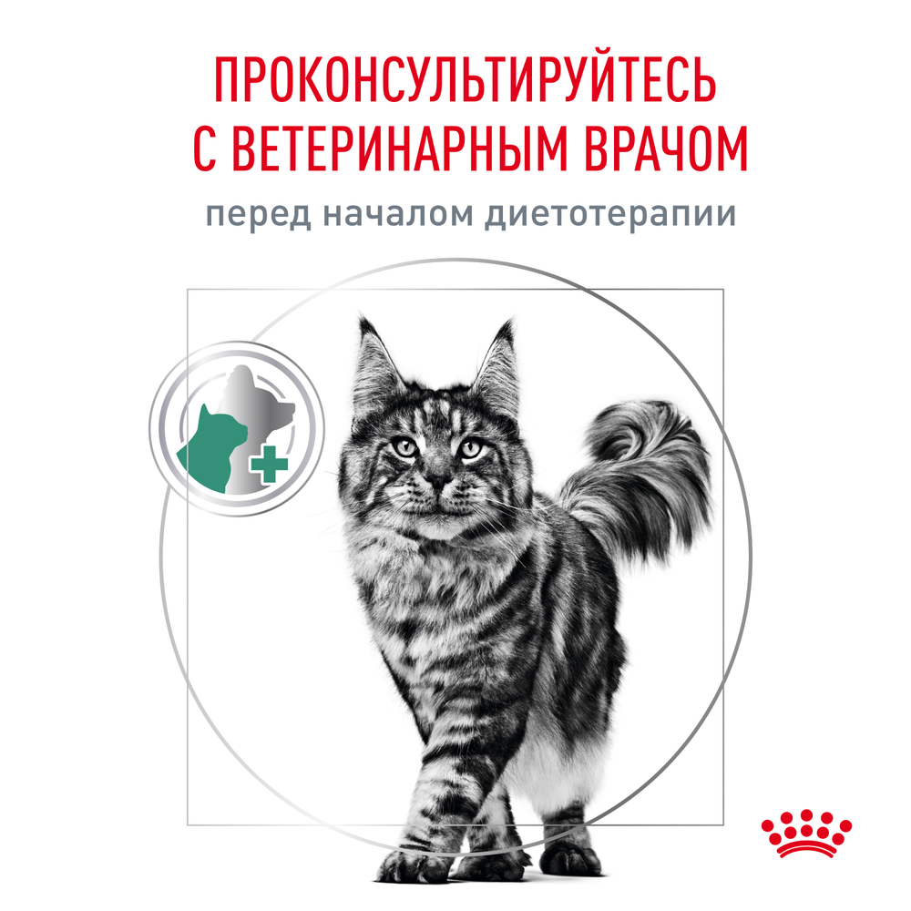 Royal Canin Diabetic Диабетик Корм влажный диета для взрослых кошек при диабете соус 85г